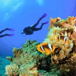 7 Best Spots for Diving in Egypt2